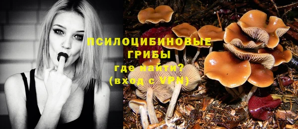 мяу мяу кристалл Покачи