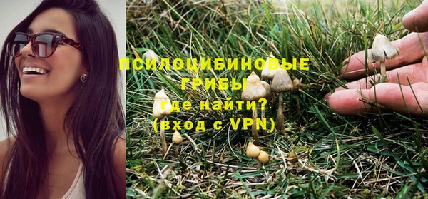 СК Покров
