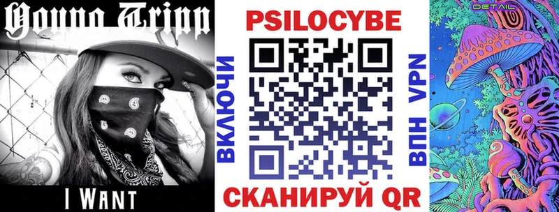 Купить  Красный Сулин  Галлюциногенные грибы мухоморы 